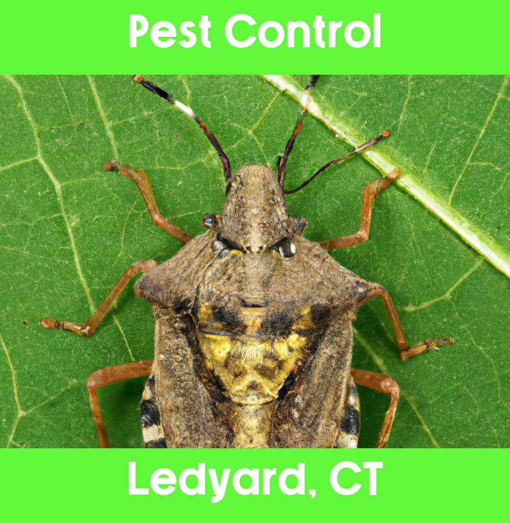 pest control in Ledyard Connecticut