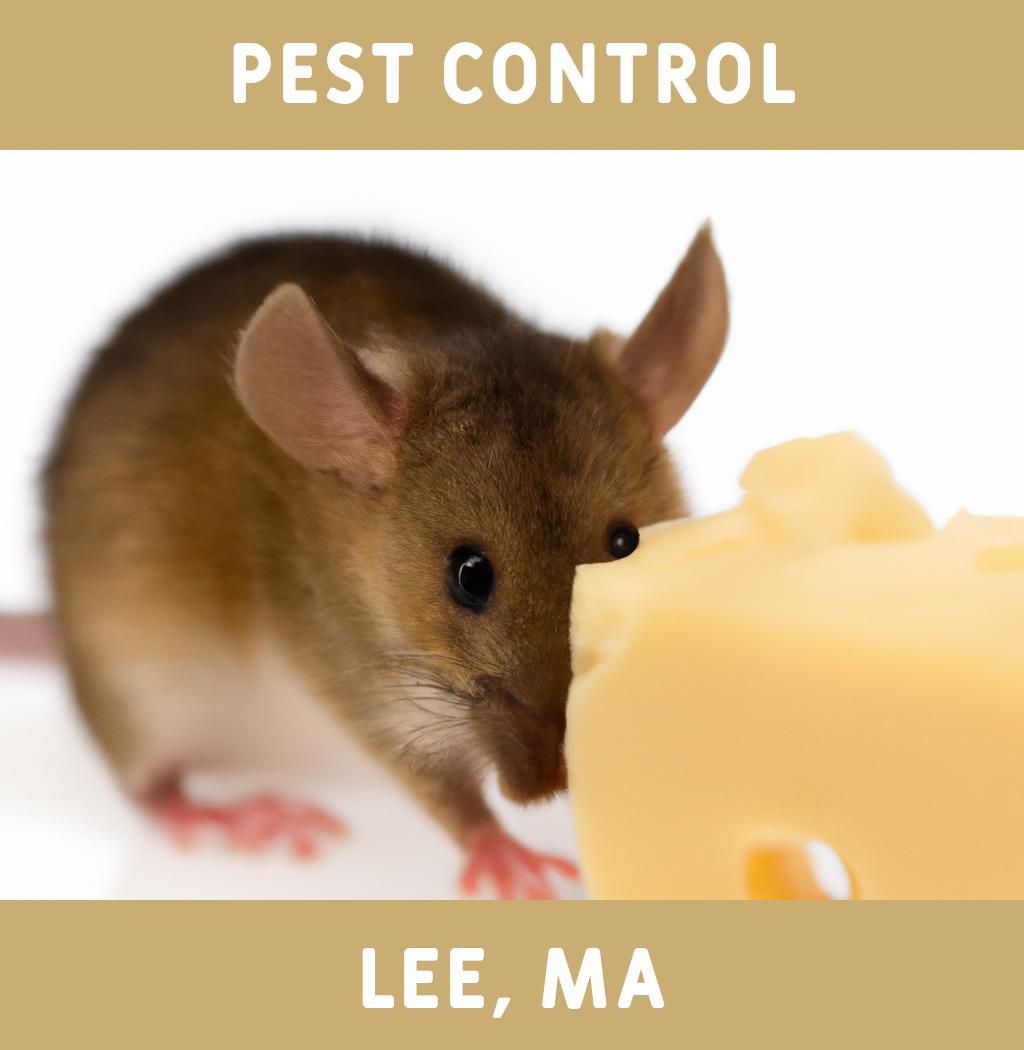 pest control in Lee Massachusetts
