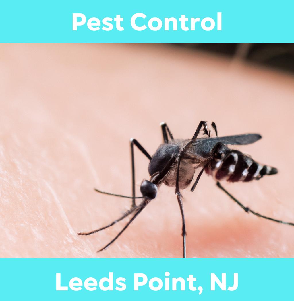 pest control in Leeds Point New Jersey
