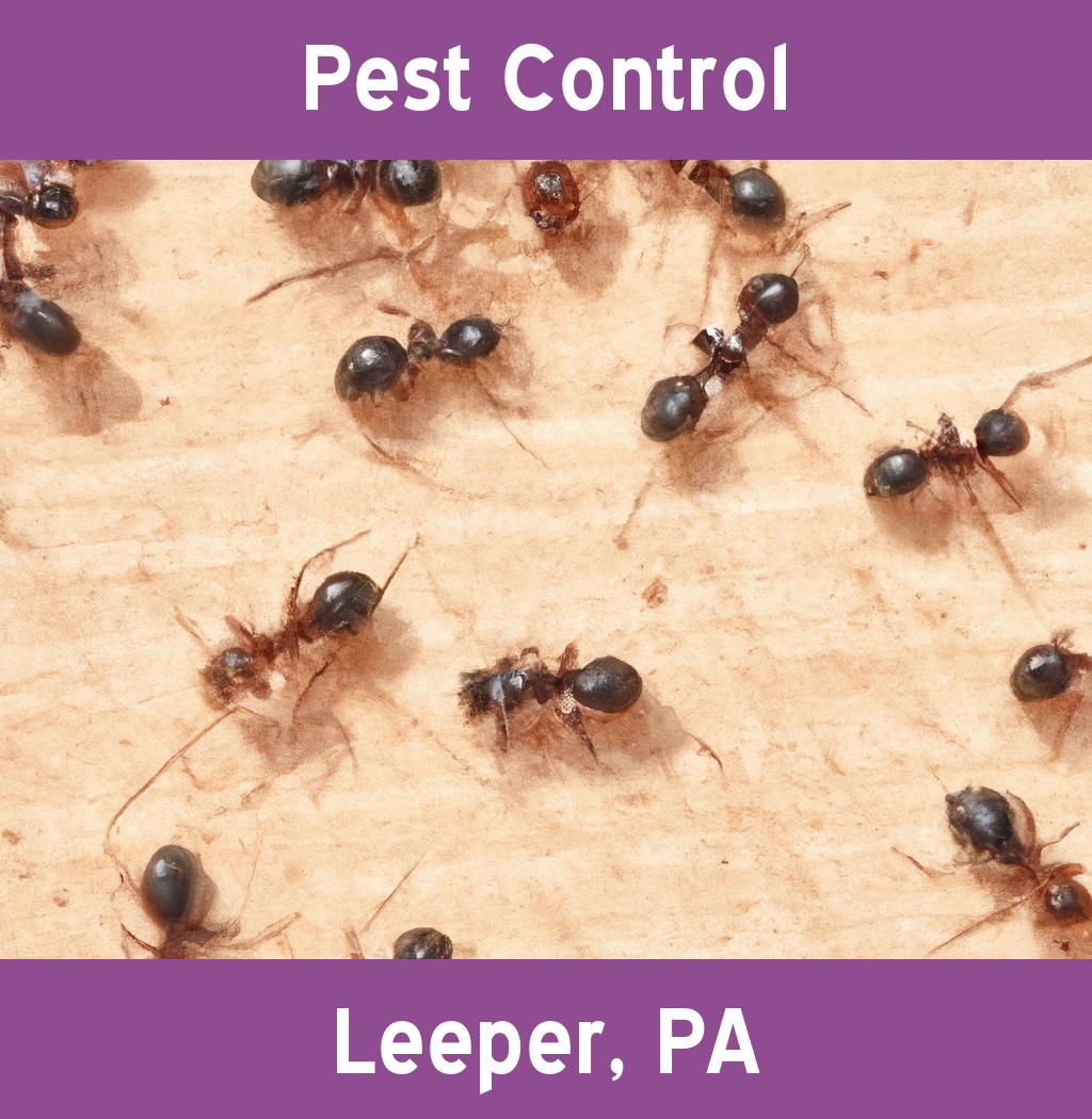 pest control in Leeper Pennsylvania