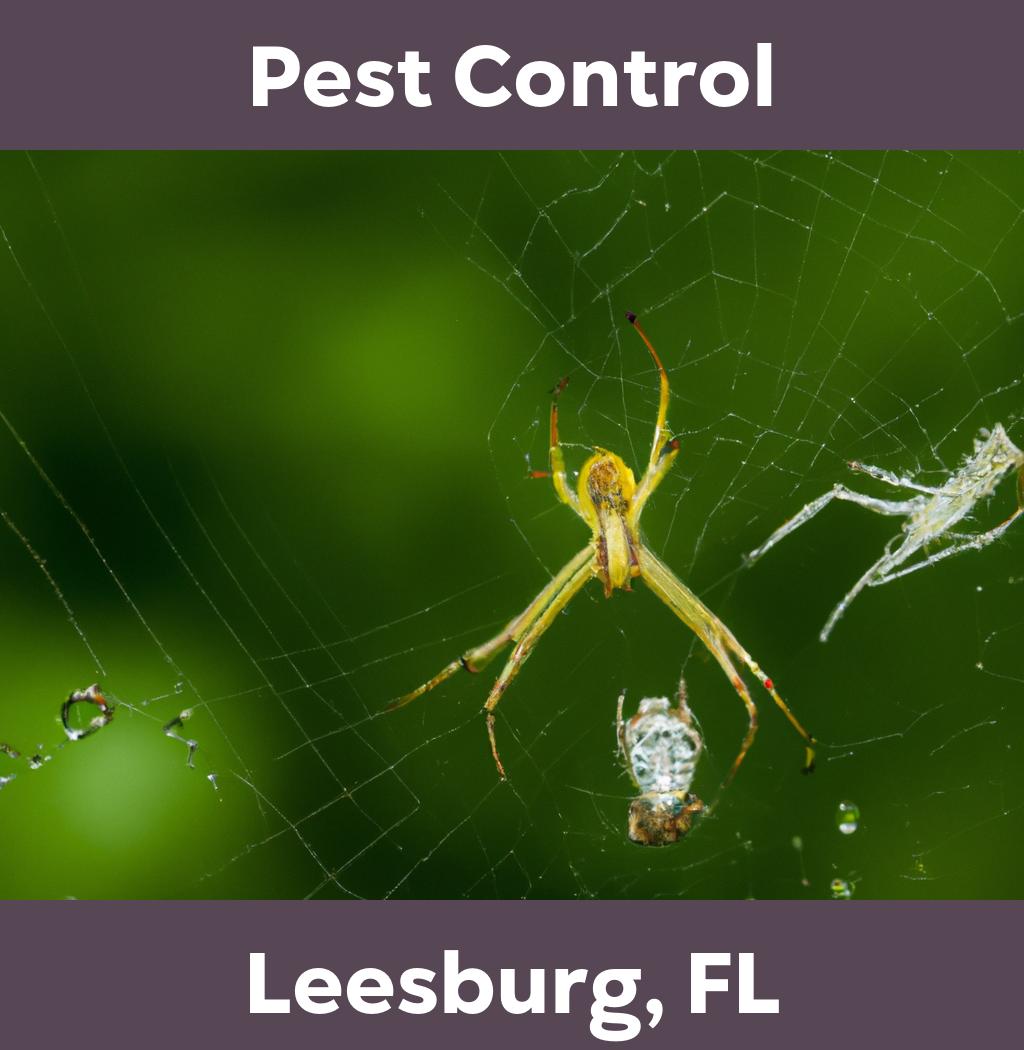 pest control in Leesburg Florida