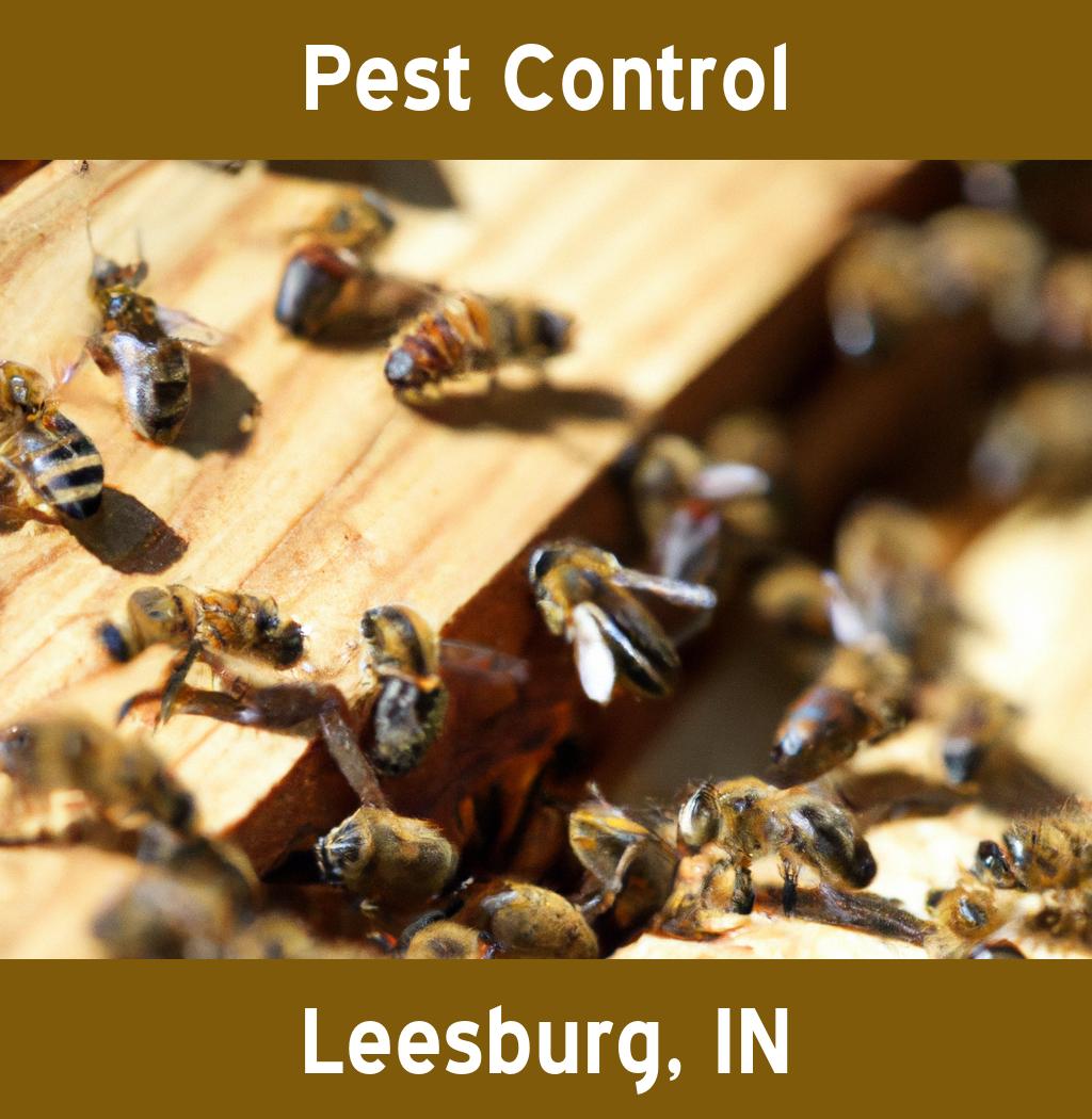 pest control in Leesburg Indiana
