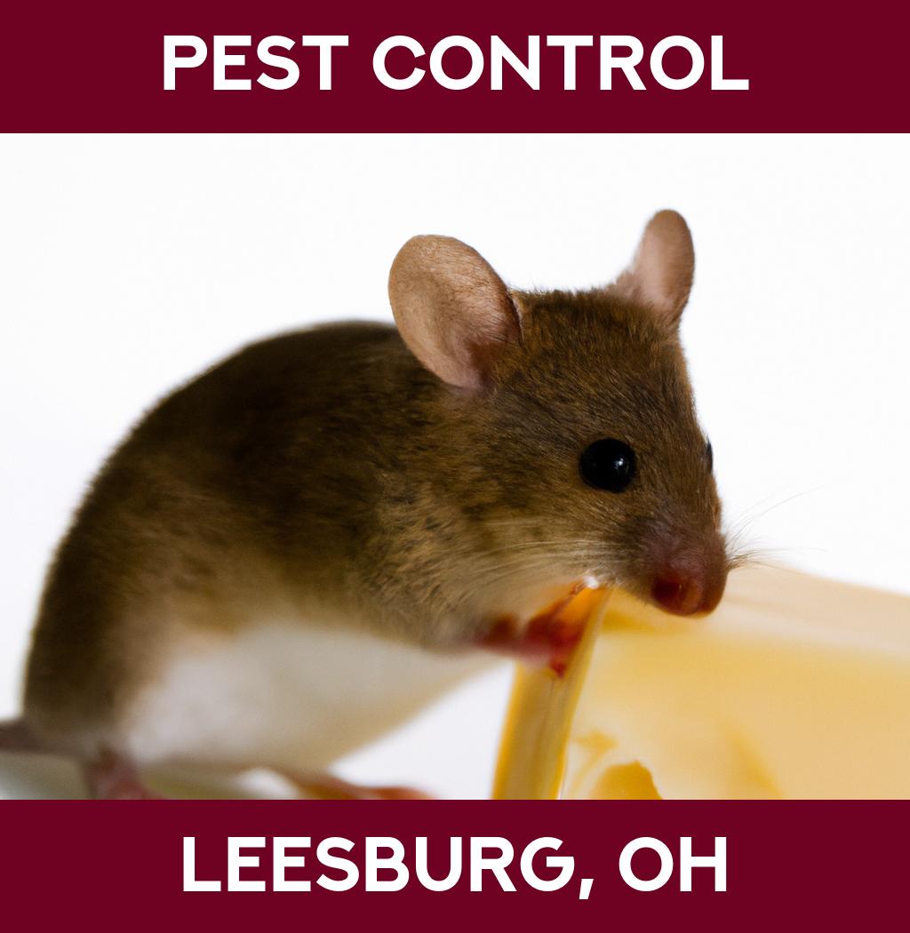 pest control in Leesburg Ohio