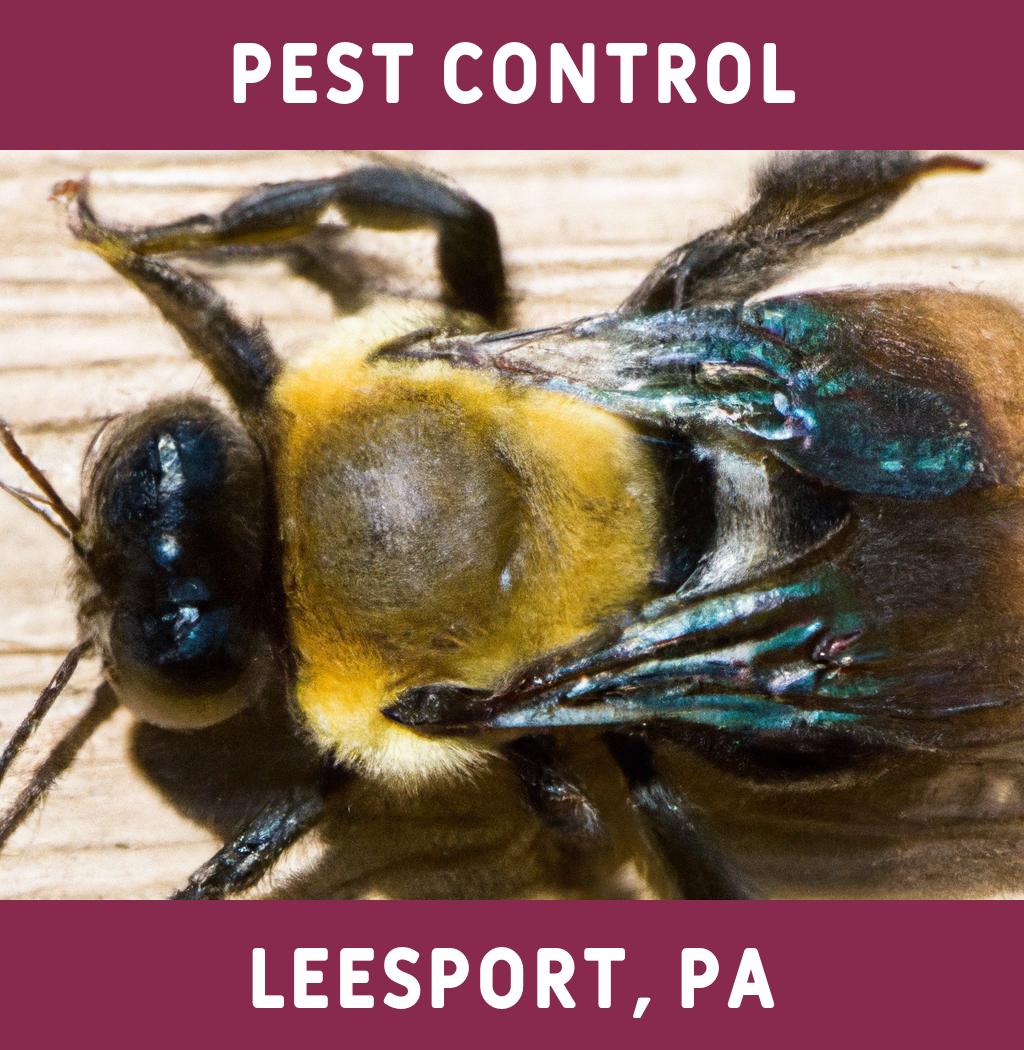 pest control in Leesport Pennsylvania