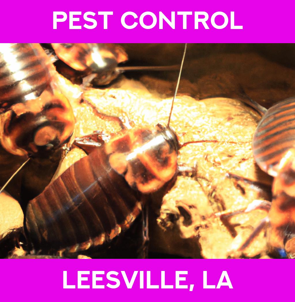 pest control in Leesville Louisiana