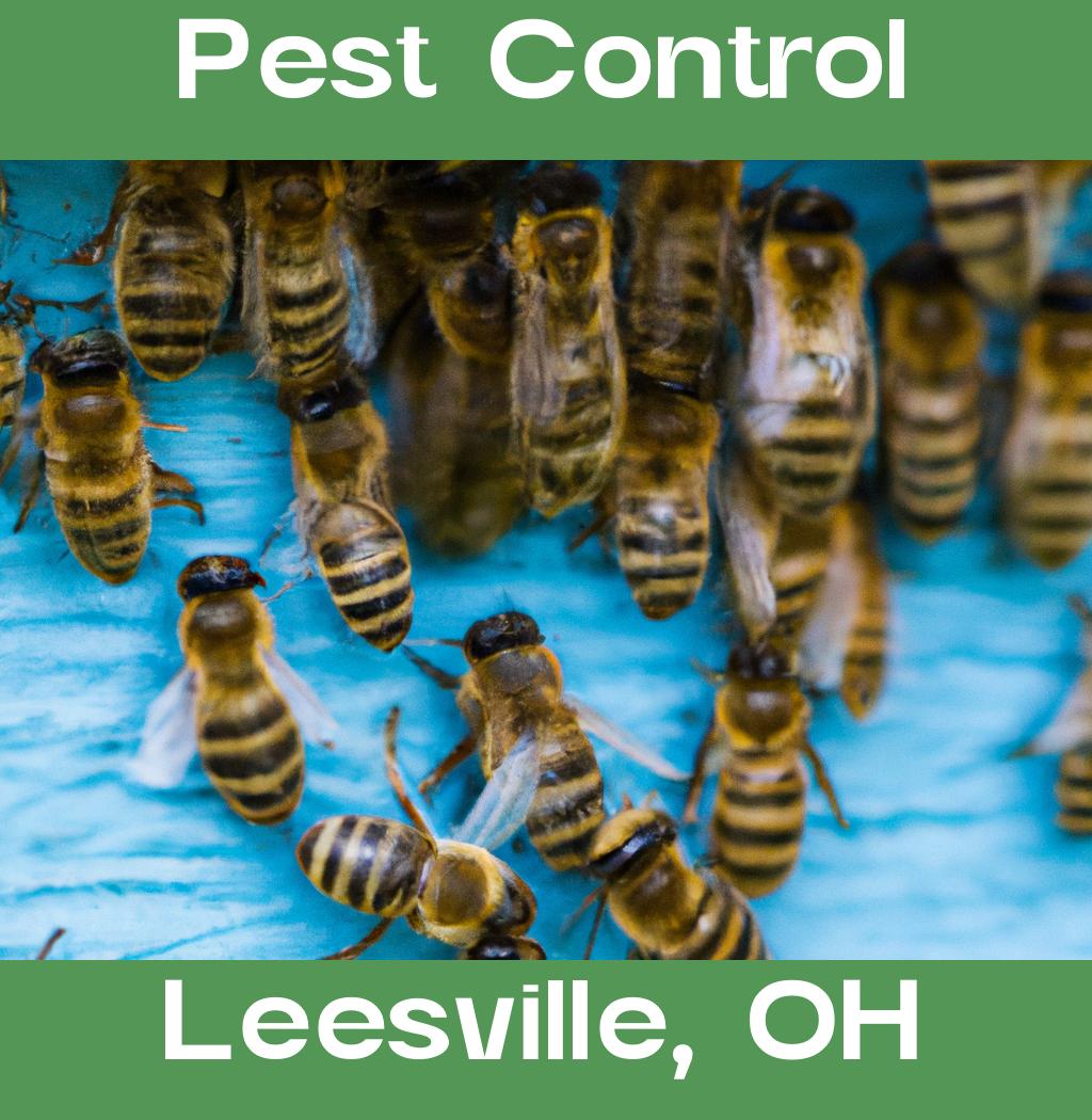 pest control in Leesville Ohio