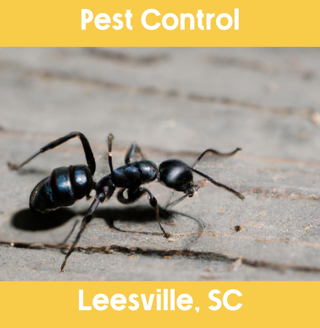 pest control in Leesville South Carolina