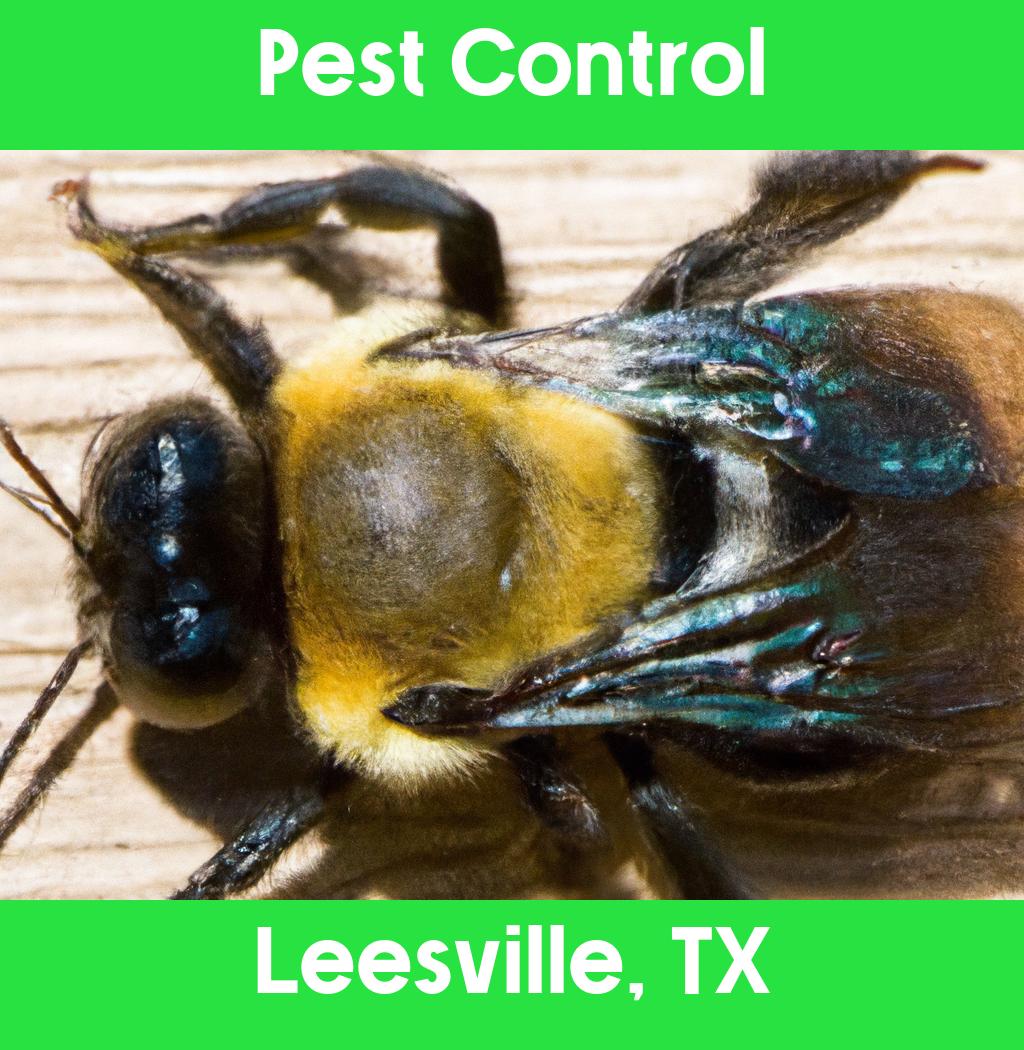 pest control in Leesville Texas