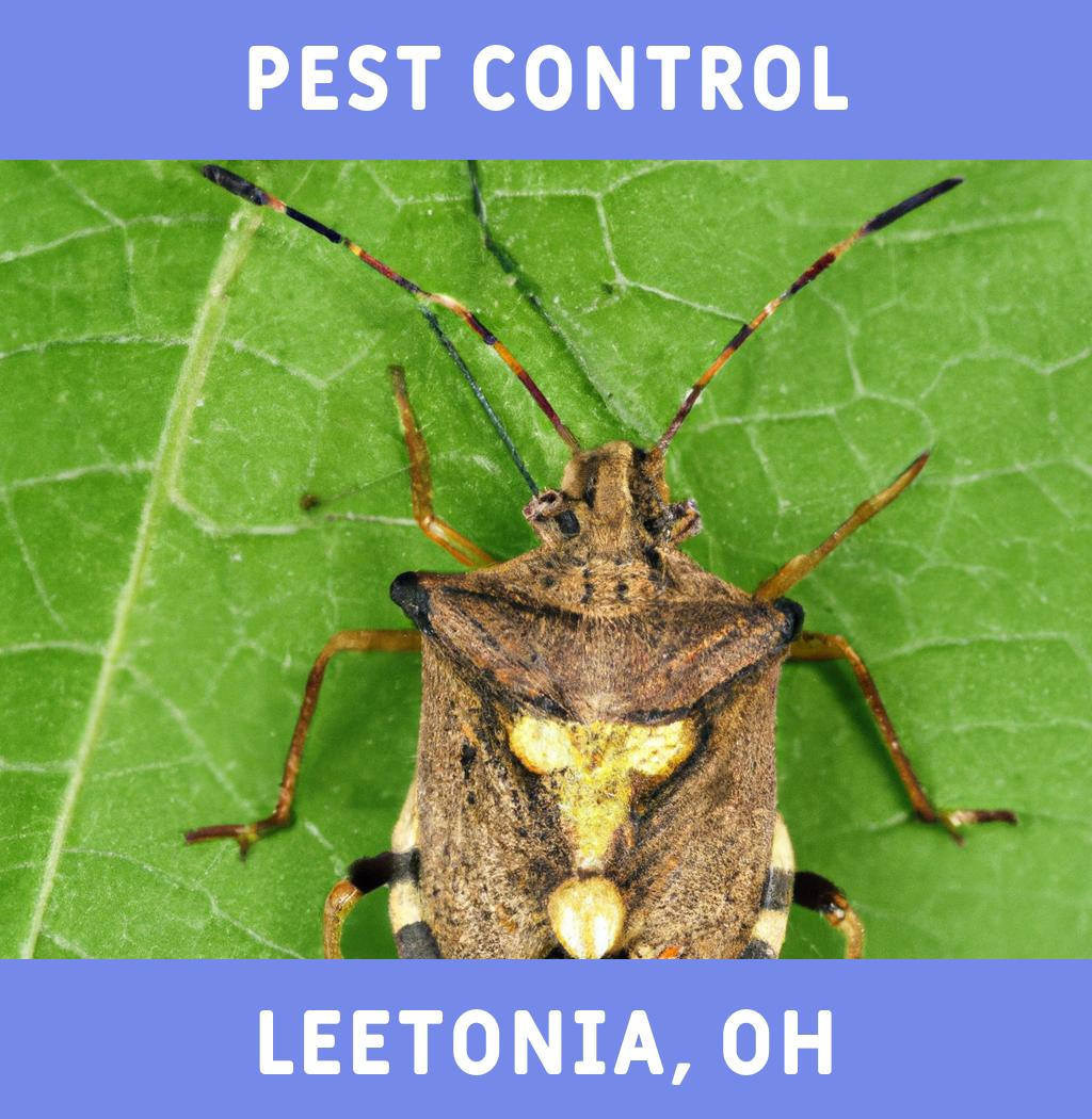 pest control in Leetonia Ohio