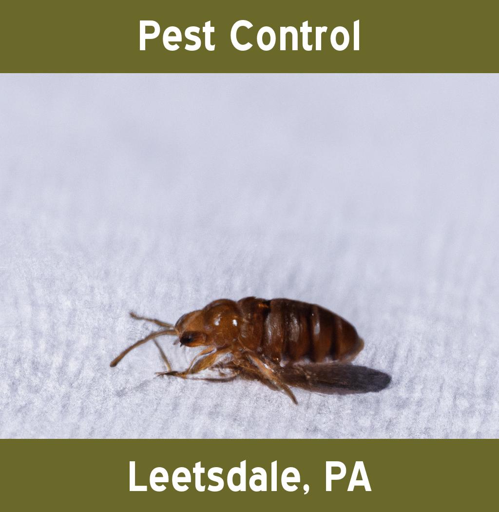 pest control in Leetsdale Pennsylvania