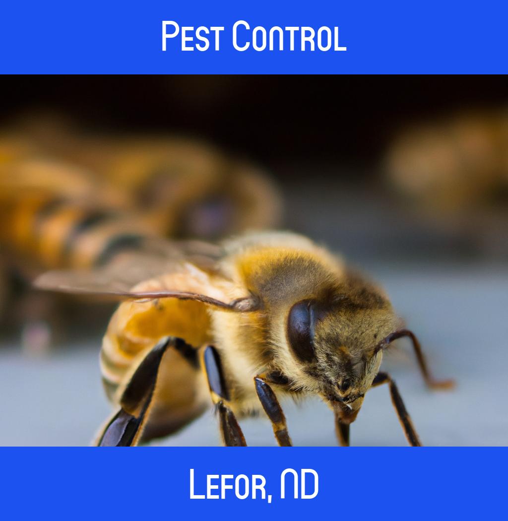 pest control in Lefor North Dakota