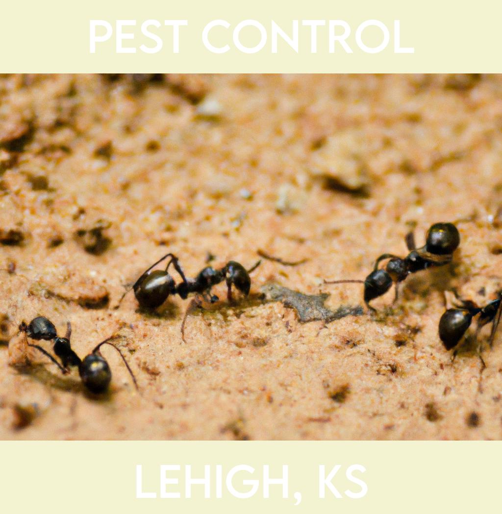 pest control in Lehigh Kansas