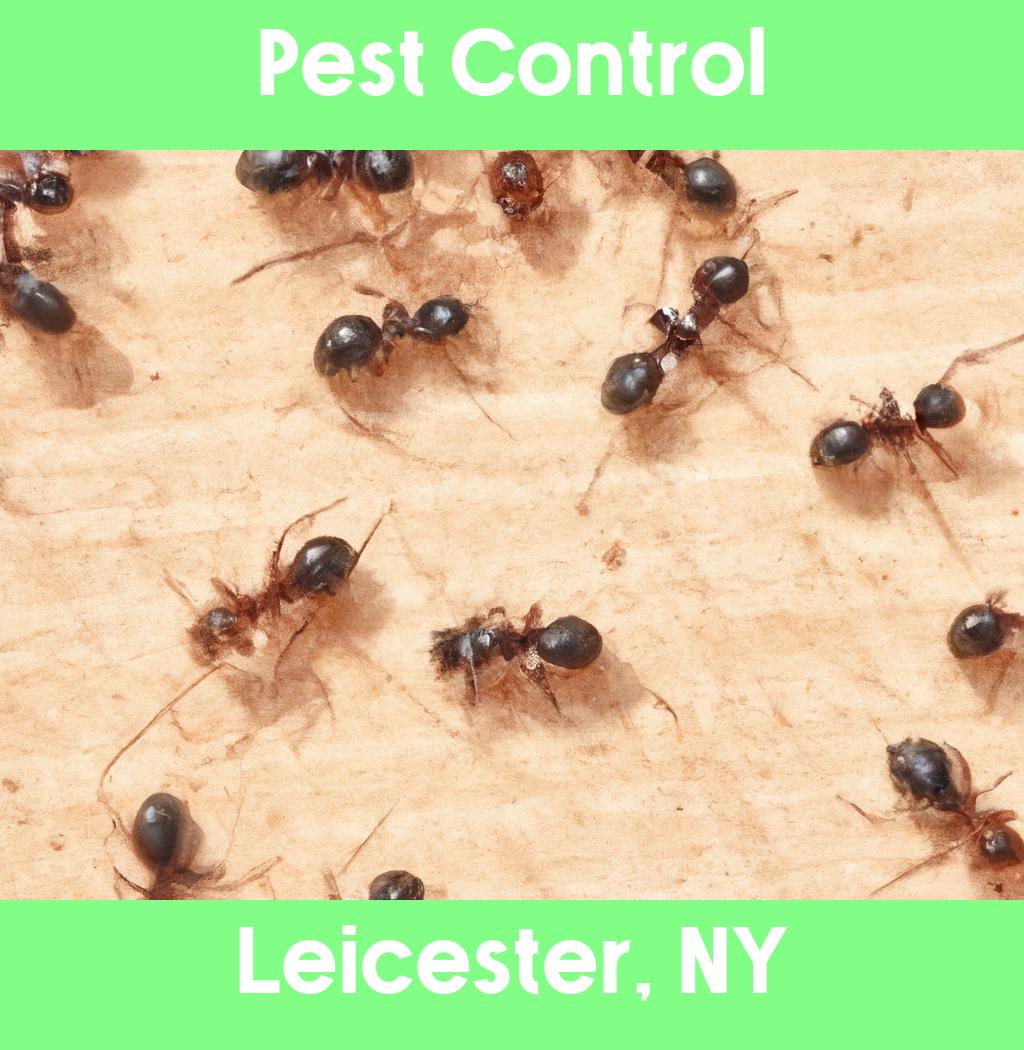 pest control in Leicester New York