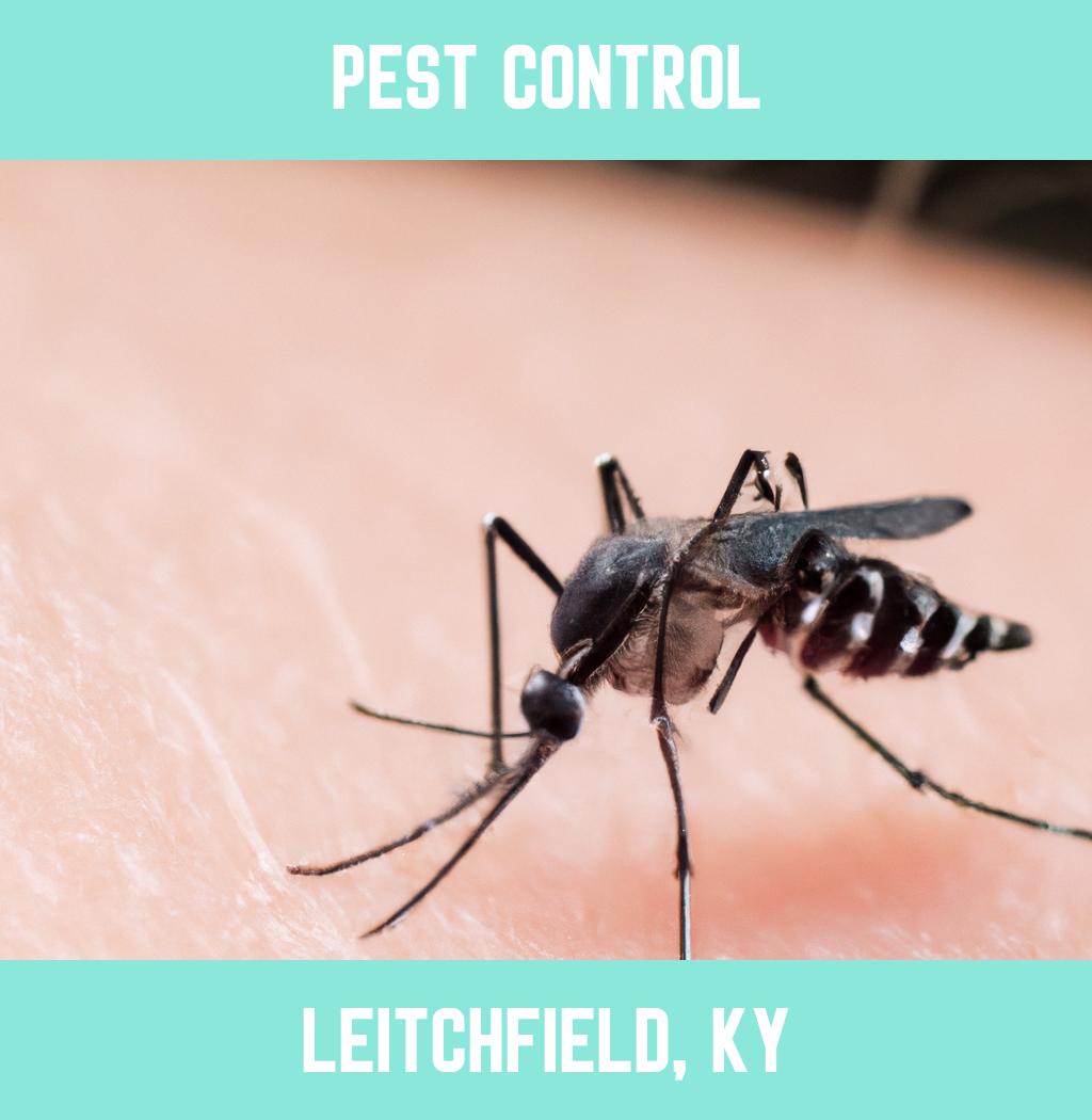 pest control in Leitchfield Kentucky