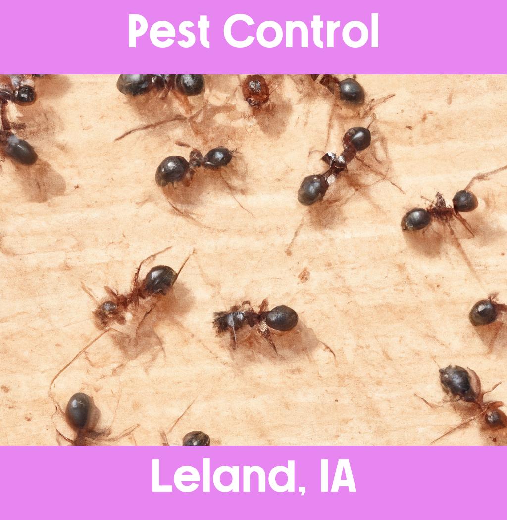pest control in Leland Iowa