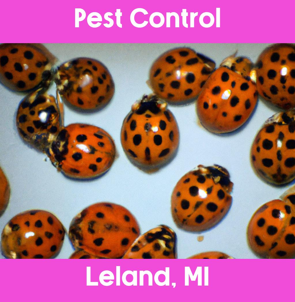 pest control in Leland Michigan