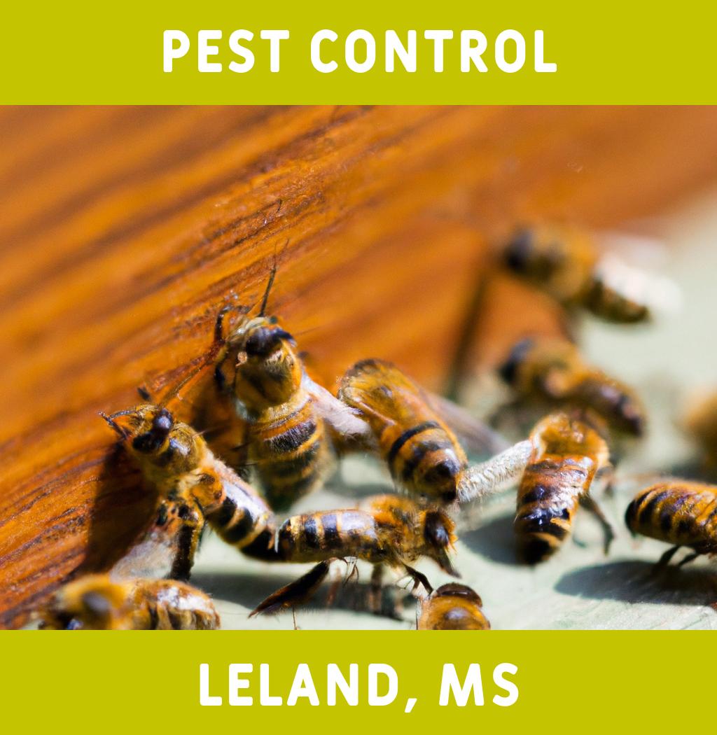 pest control in Leland Mississippi