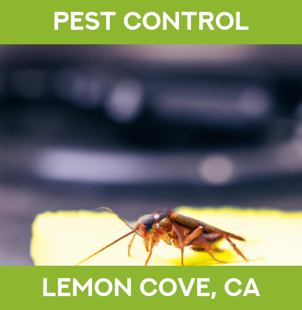 pest control in Lemon Cove California