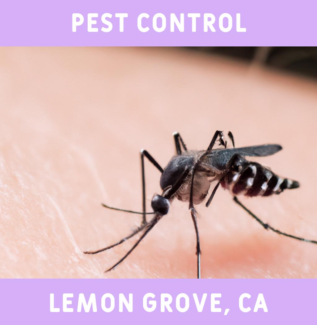 pest control in Lemon Grove California