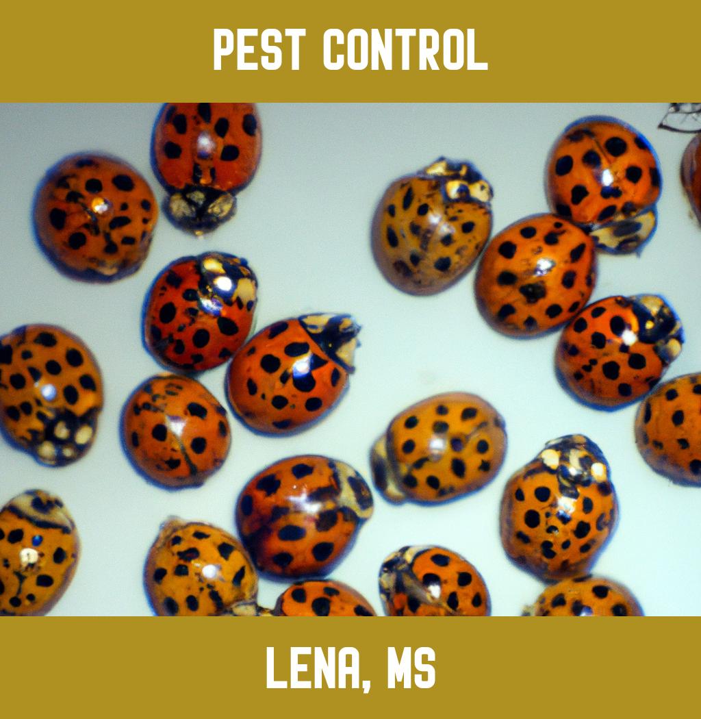pest control in Lena Mississippi