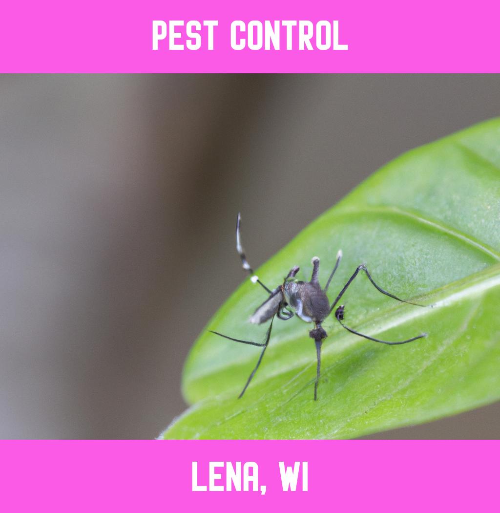 pest control in Lena Wisconsin
