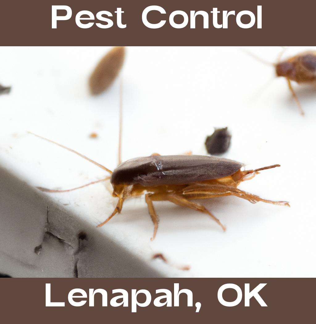 pest control in Lenapah Oklahoma