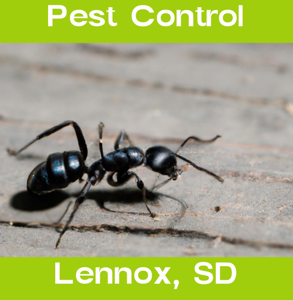 pest control in Lennox South Dakota