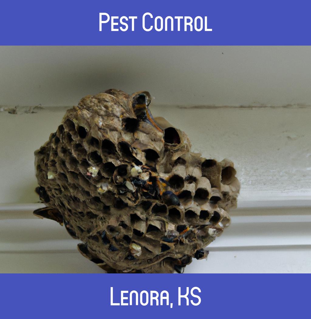 pest control in Lenora Kansas