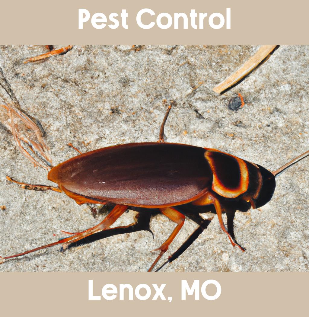 pest control in Lenox Missouri