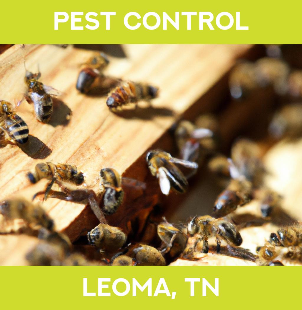 pest control in Leoma Tennessee