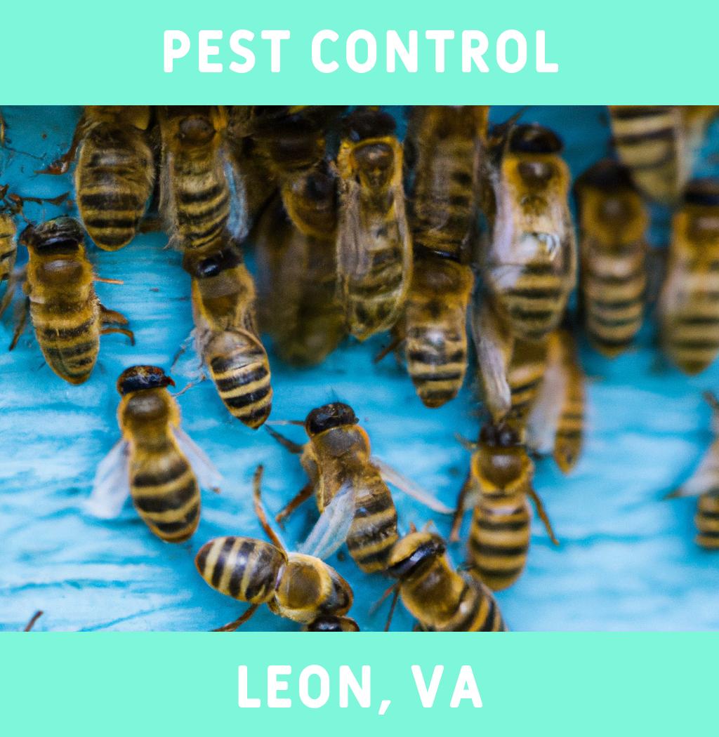 pest control in Leon Virginia