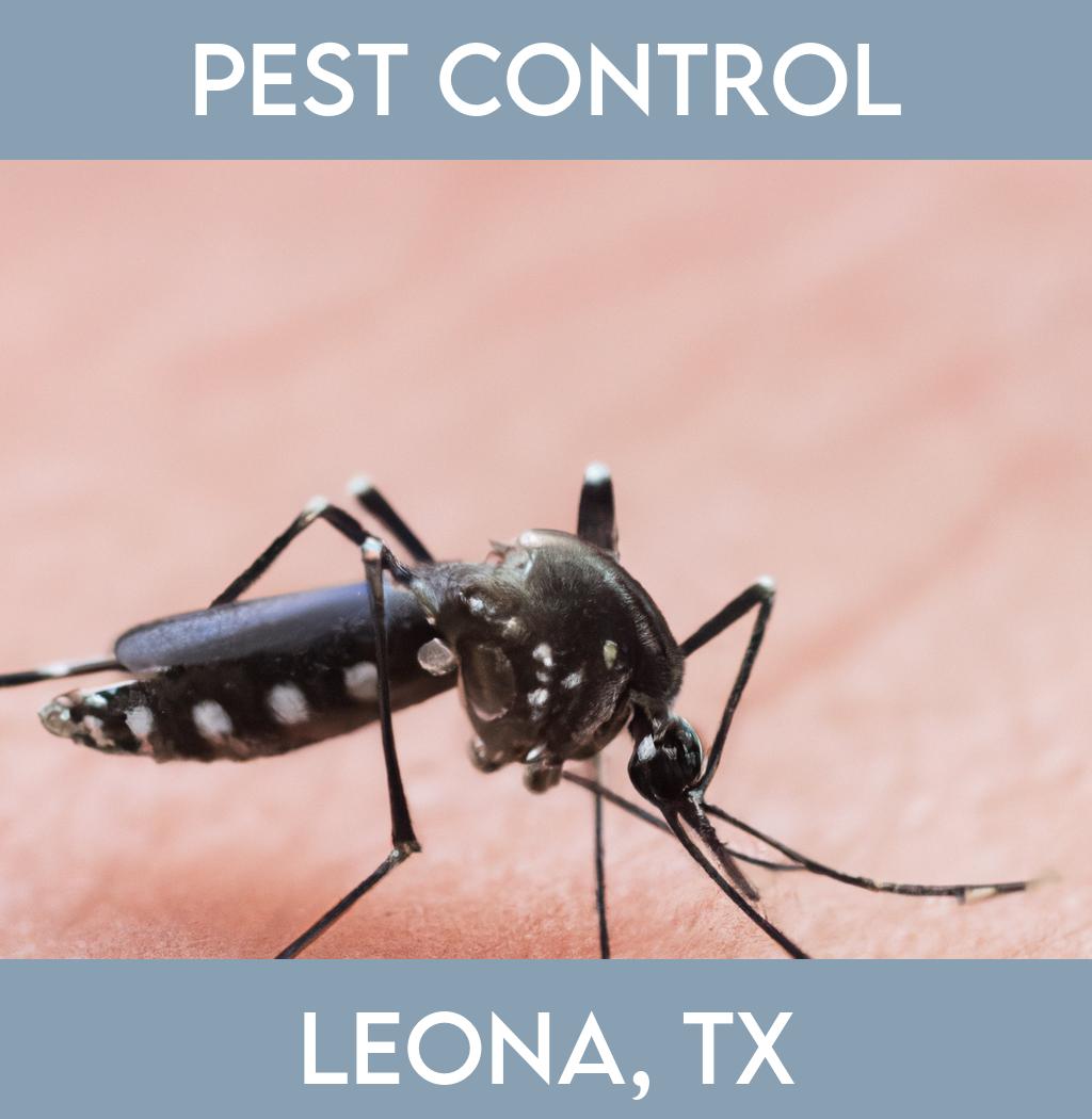 pest control in Leona Texas