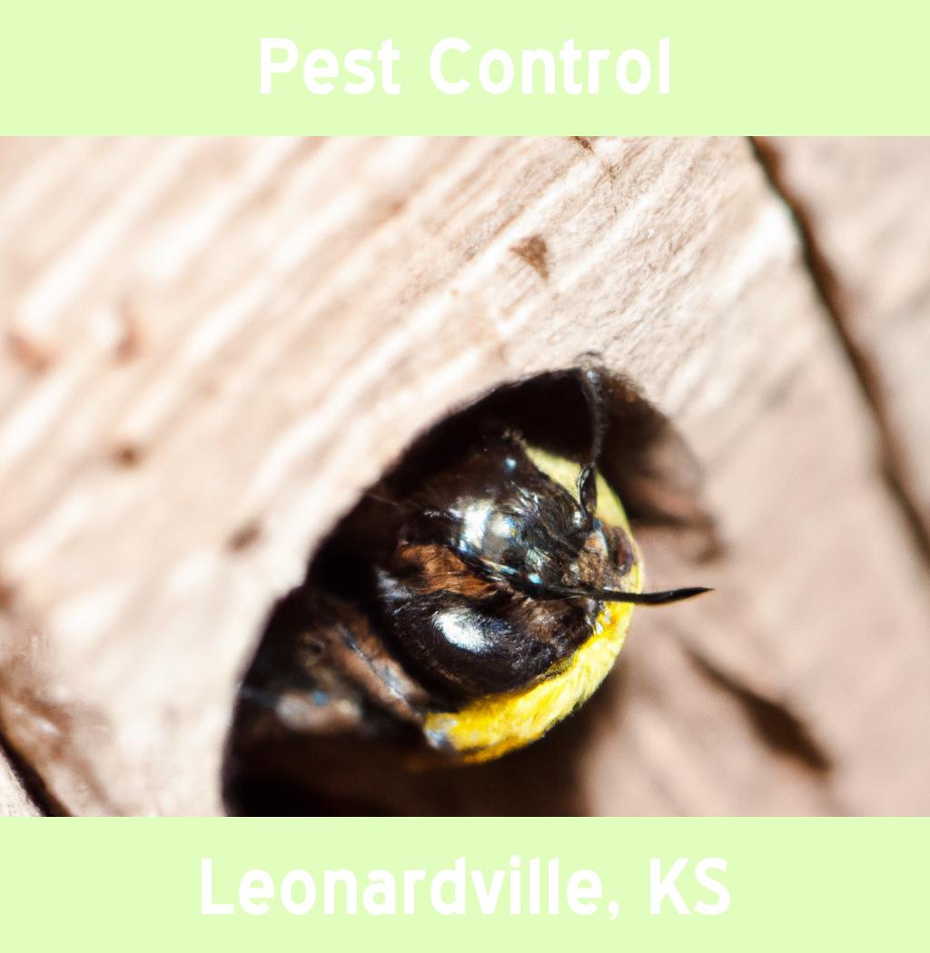 pest control in Leonardville Kansas