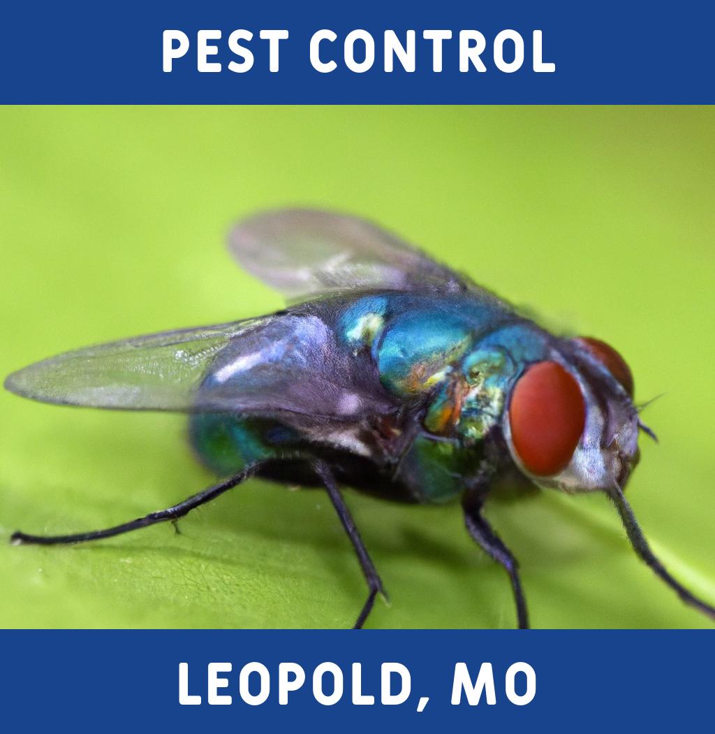 pest control in Leopold Missouri