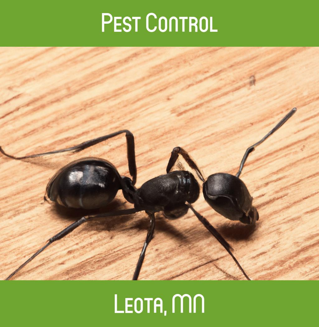 pest control in Leota Minnesota