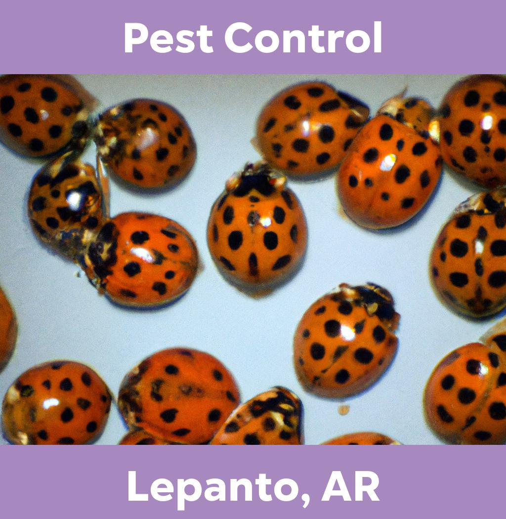 pest control in Lepanto Arkansas