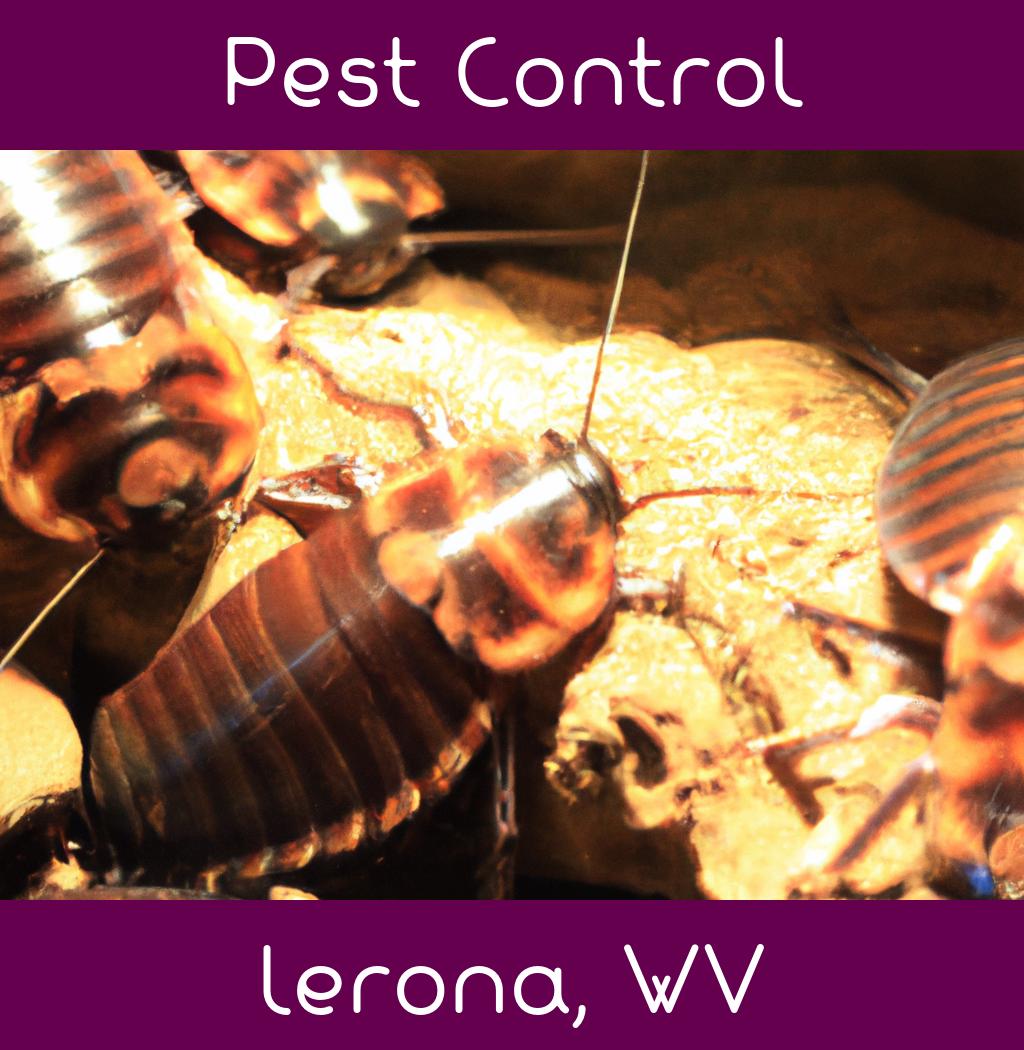pest control in Lerona West Virginia