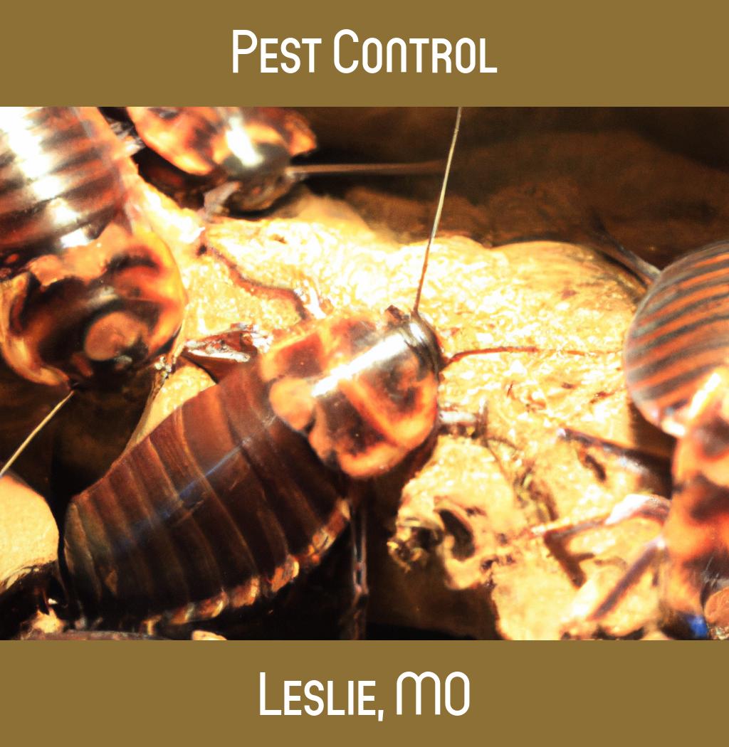 pest control in Leslie Missouri