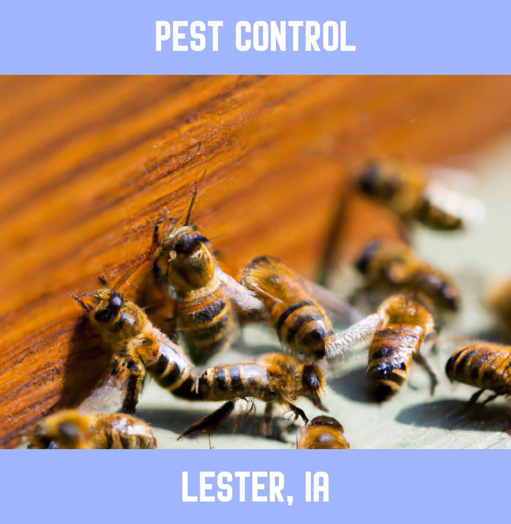 pest control in Lester Iowa