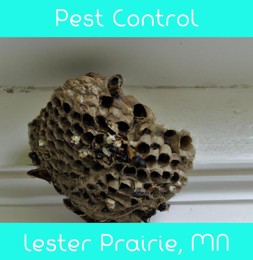 pest control in Lester Prairie Minnesota