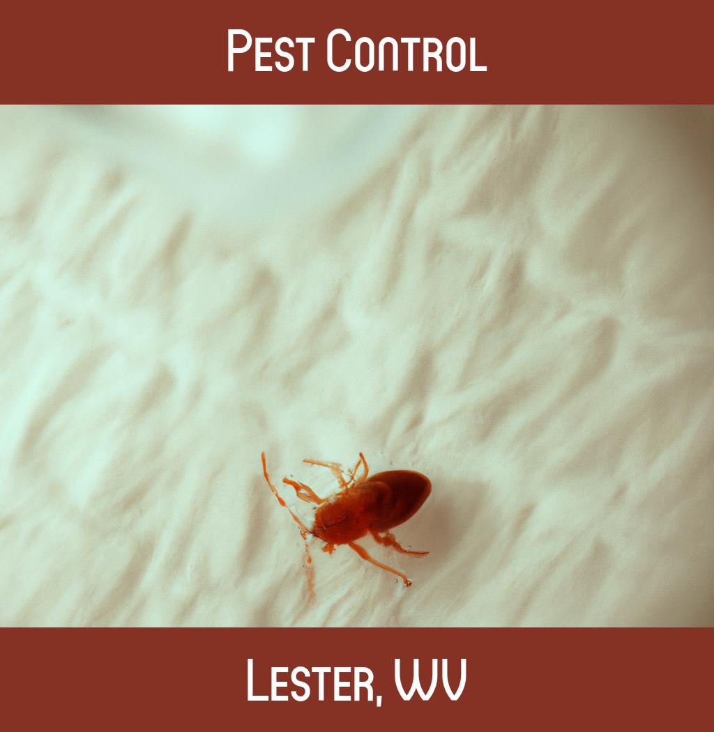 pest control in Lester West Virginia