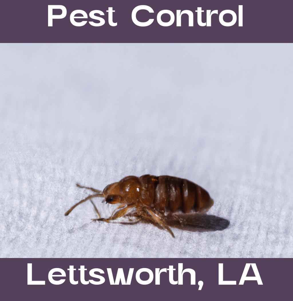 pest control in Lettsworth Louisiana