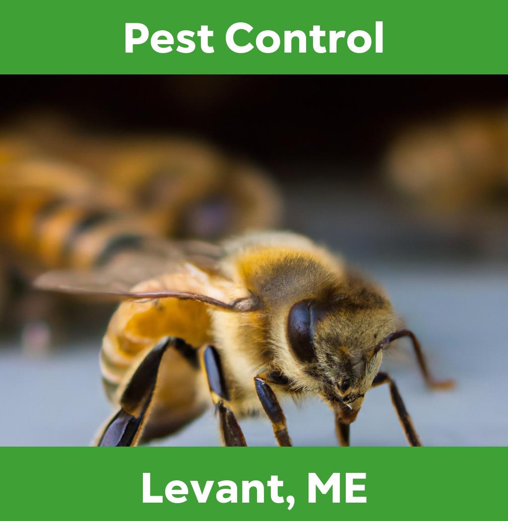 pest control in Levant Maine