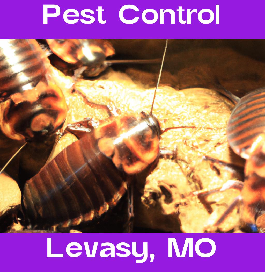 pest control in Levasy Missouri
