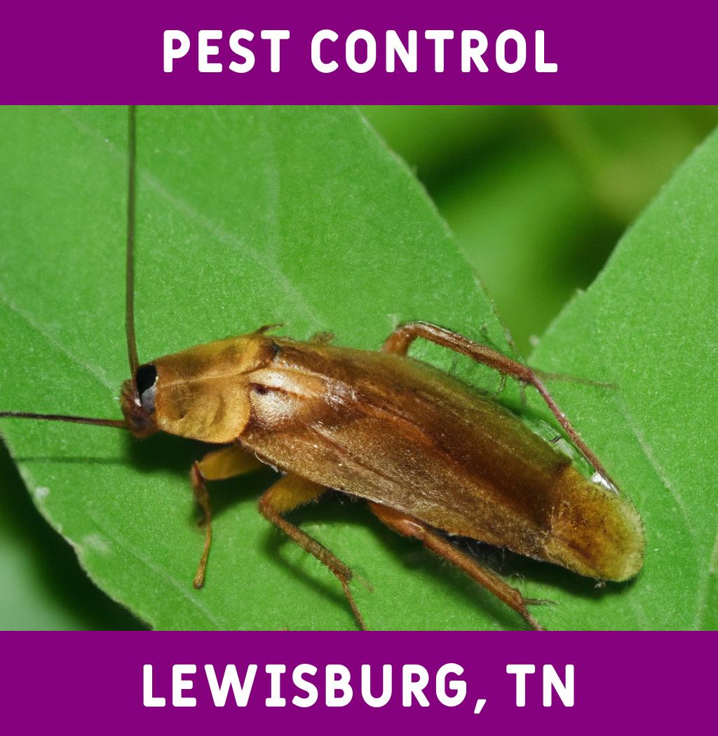 pest control in Lewisburg Tennessee