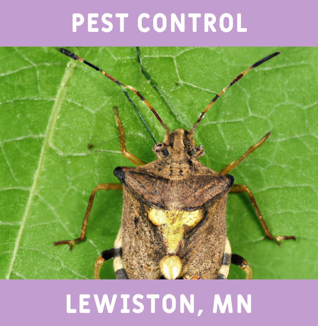 pest control in Lewiston Minnesota