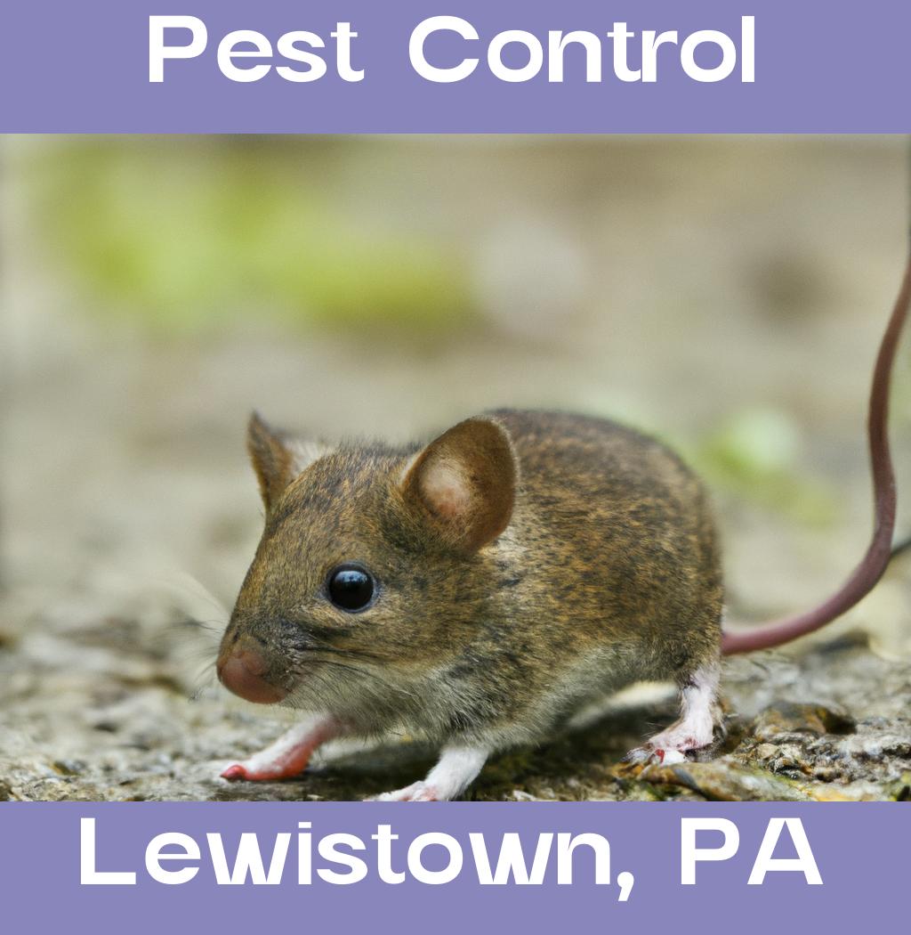 pest control in Lewistown Pennsylvania