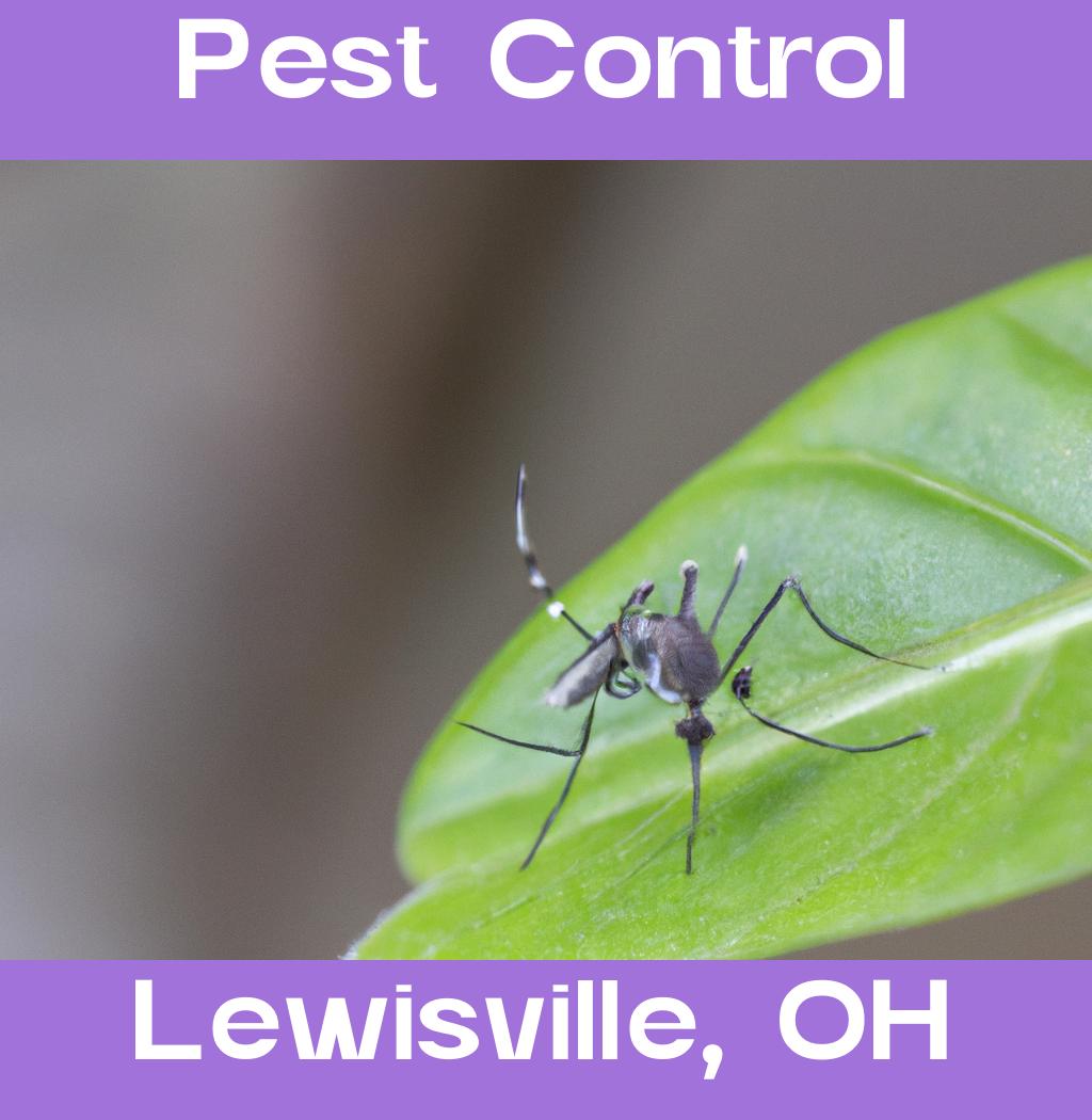 pest control in Lewisville Ohio
