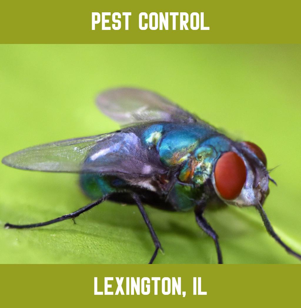 pest control in Lexington Illinois