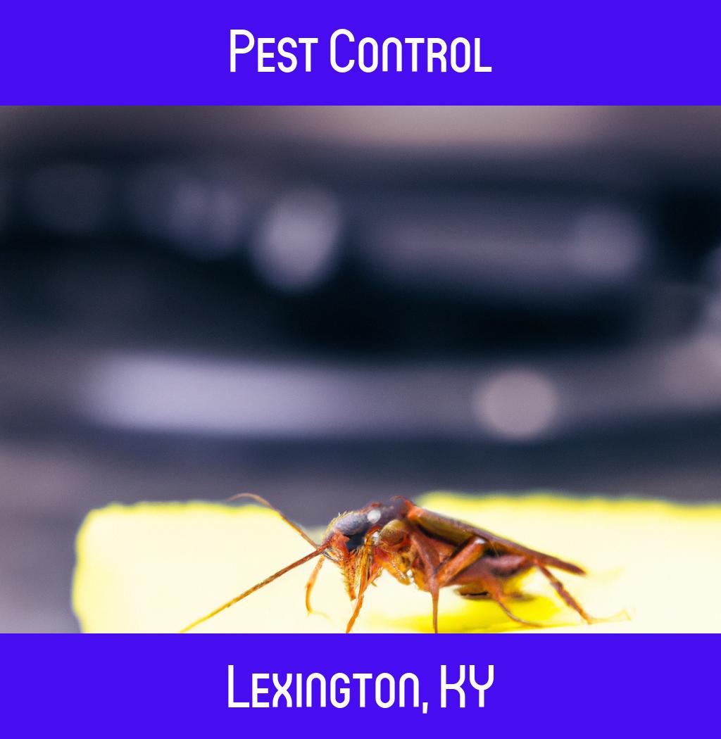 pest control in Lexington Kentucky